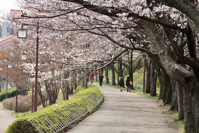 【ベルコリーヌ南大沢６号棟の周辺】