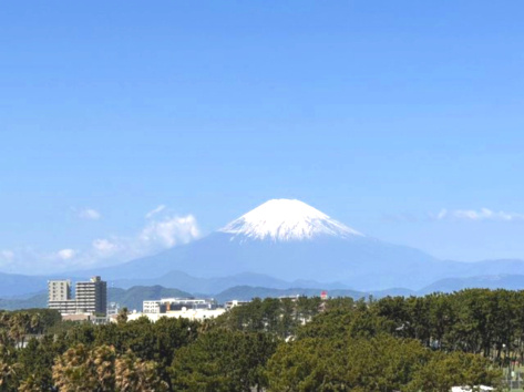 晴れた日には富士山を望む贅沢な眺望。四季折々の景色を楽しめる、開放感あふれる住まいです。（2026年4月撮影）