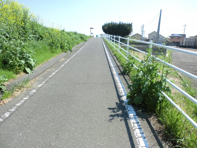 遊歩道　ゆったりのんびりお散歩も良いですね。