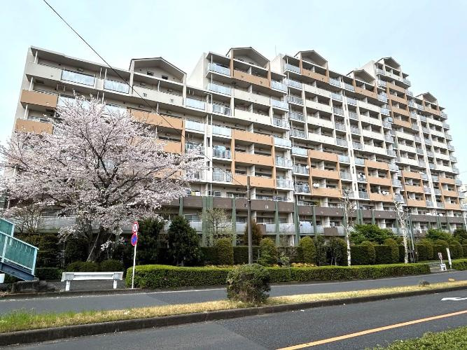 外観：313004698975