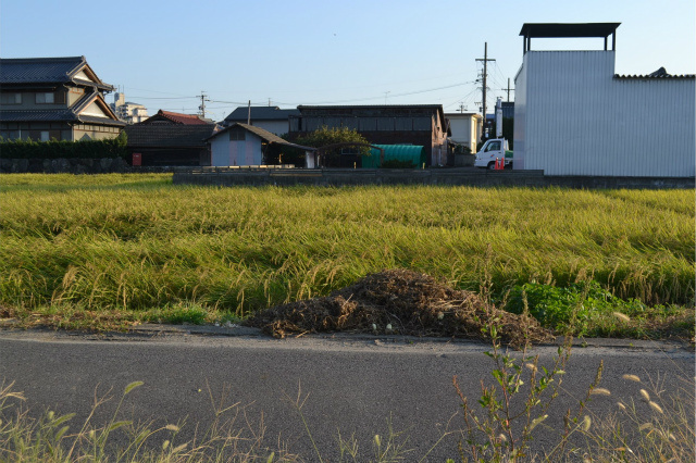 外観：323000484162