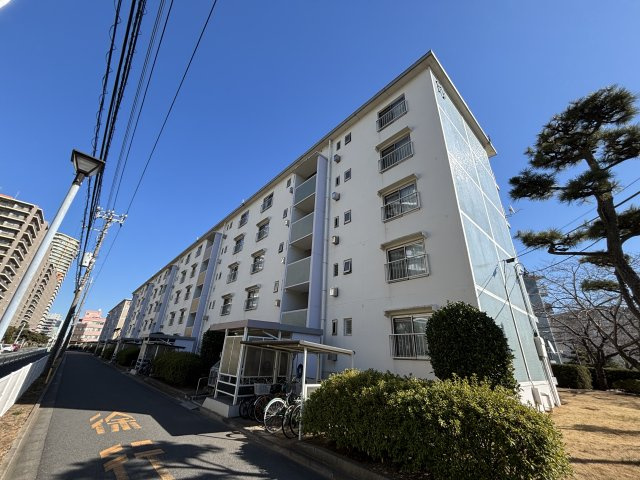 外観：312001196543