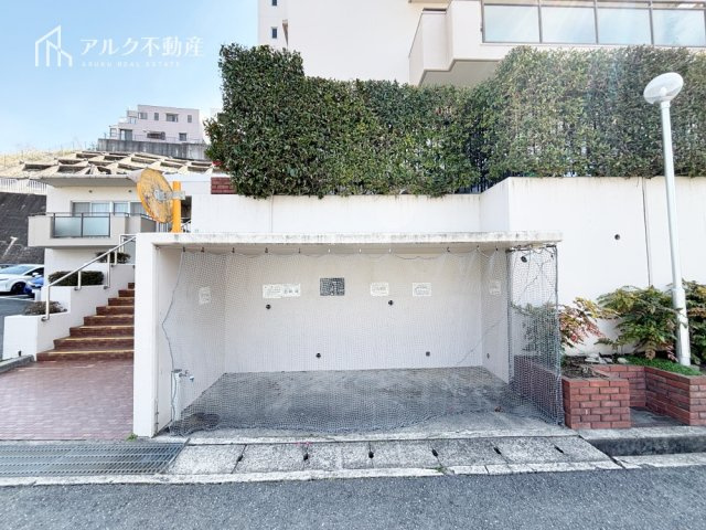 2026年3月5日撮影