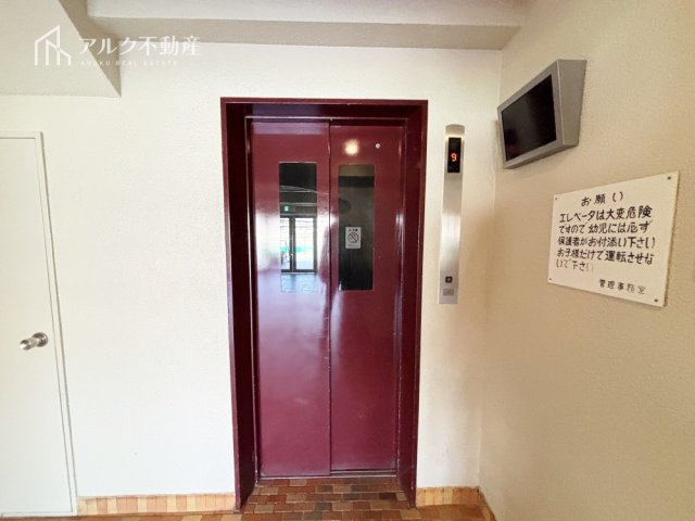 2026年3月5日撮影