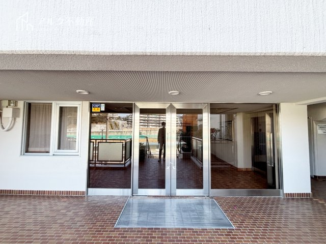 2026年3月5日撮影