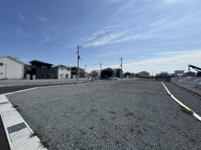 2025年3月撮影