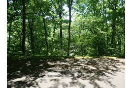 荘川ビレッジ⑤の外観