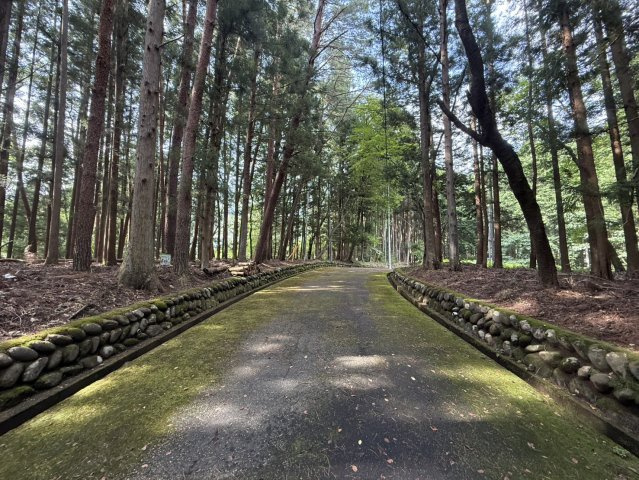 前面道路含む現地写真です
