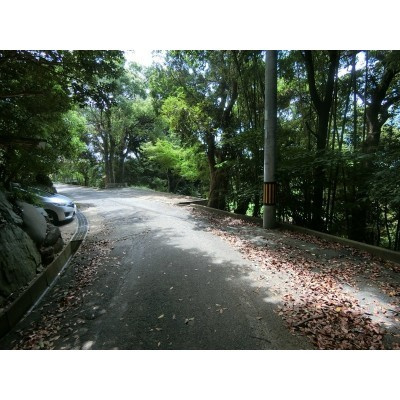 前面道路の様子です！