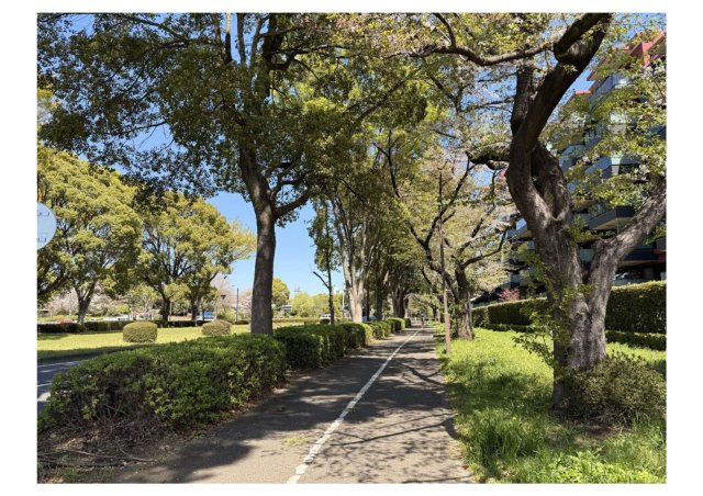 国内最大級を誇る国営昭和記念公園まで徒歩5分