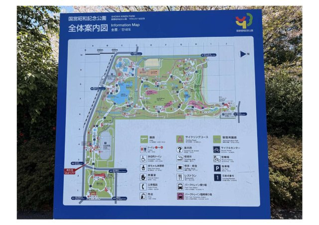 公園にはドッグラン、ボートハウス、レインボープール（夏期のみ営業）、バーベキューガーデンなどがあり、季節問わずご家族で楽しめます。