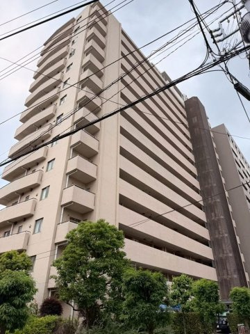 外観：313004894894