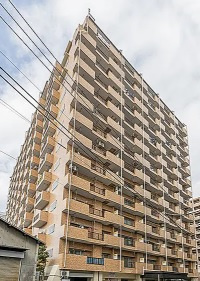 外観：313004560330