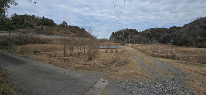 ■現地