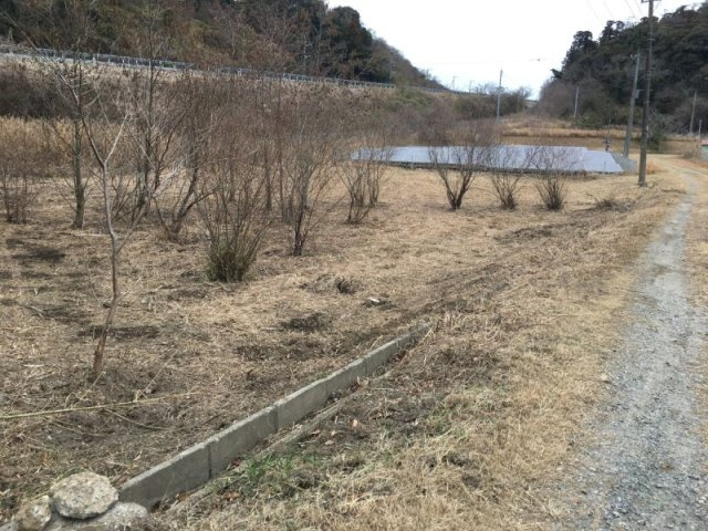 ■菜園や果樹スペースも作れます