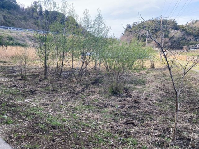 ■木々に囲まれた静かな場所