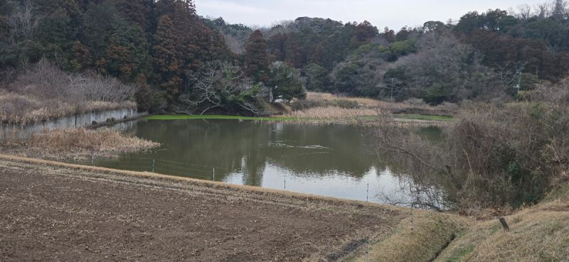 ■物件近くにある池