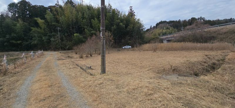■現地