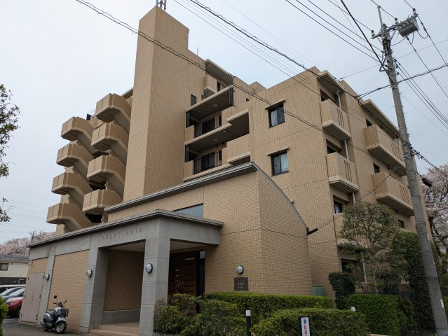 外観：311002438767