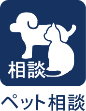 大きな窓から自然光が差し込む明るい洋室。風通しが良く、心地よい空間を演出。ライフスタイルに合わせて、快適に使える間取りです。