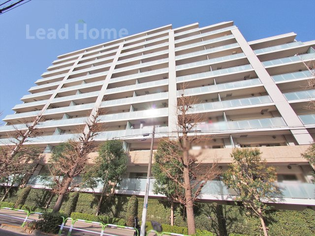 外観：313004684512