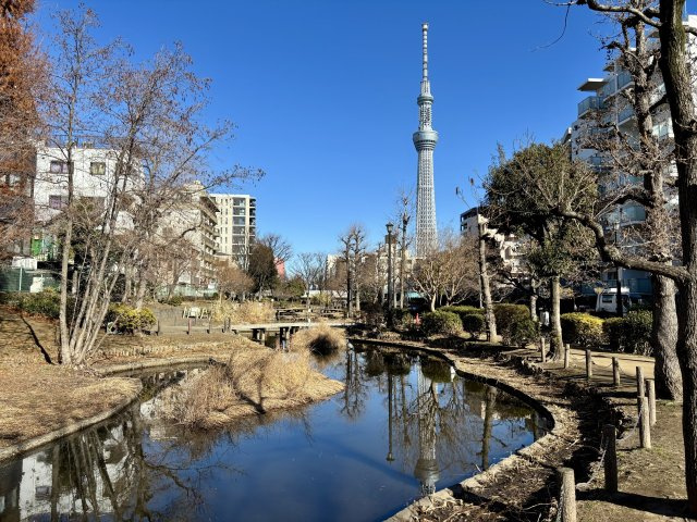 墨田区立大横川親水公園まで70ｍ／お散歩やジョギングにもオススメ／遊具エリアは今夏オープン予定