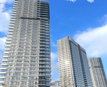 外観：313004818601