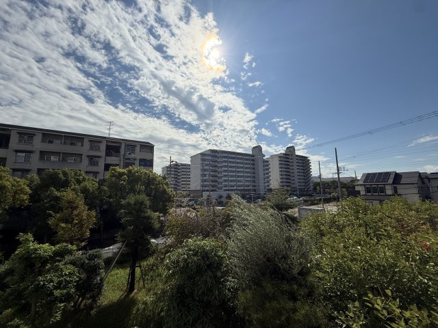 展望