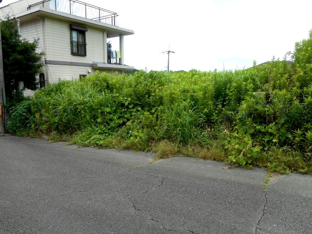 外観：330000084413