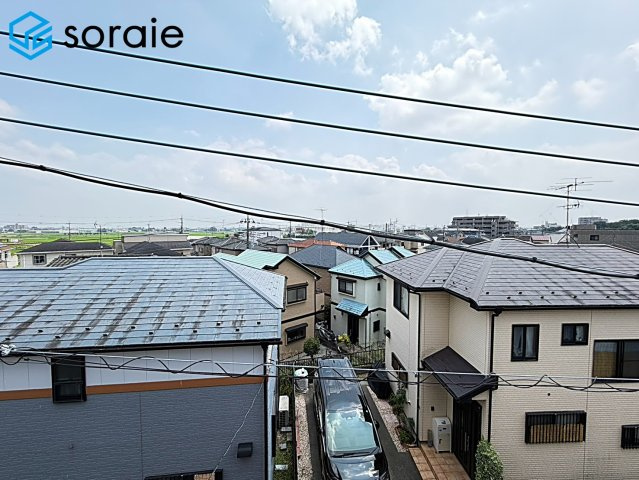 2026/7/24撮影