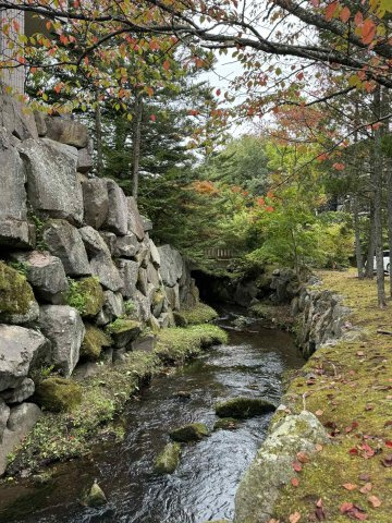 軽井沢らしい、四季を感じられる敷地。部屋からも小川の音が聞こえます。