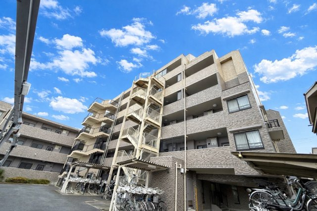 外観：311002253655