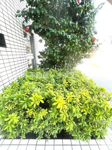 建物や壁に囲まれた外部空間で、採光・通風の確保、防犯性の向上といったメリットもございます。