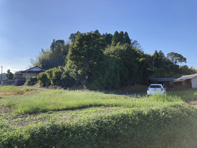 外観：346000040024