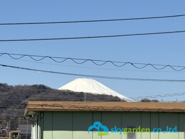 天候によりますが、2階寝室・バルコニーより富士山が見えます