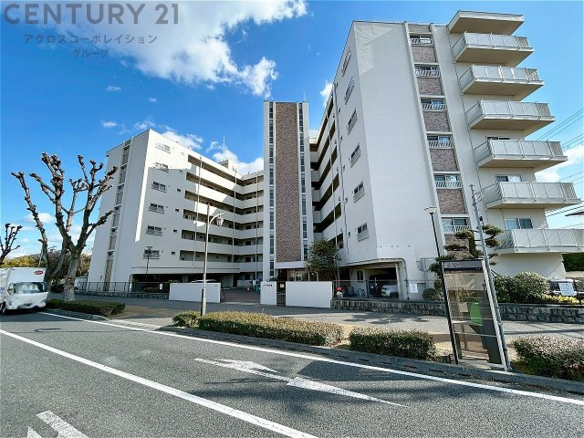 外観：328000592985