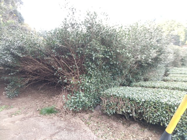 外観：322000465654