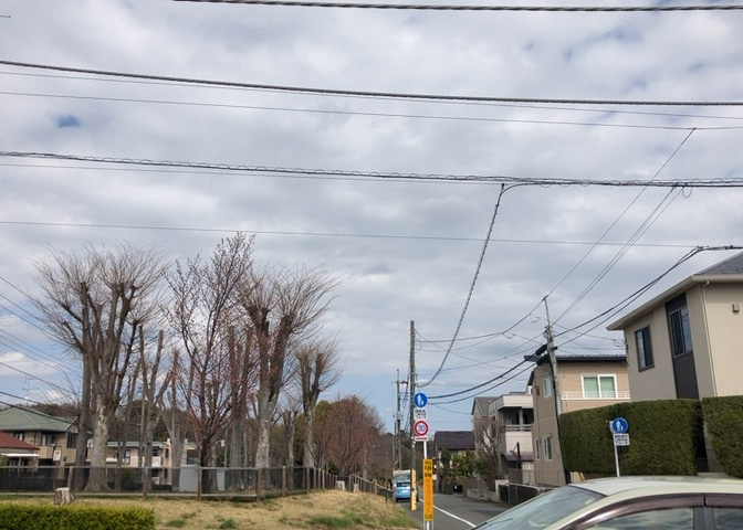 田園風景が味わえる土地に住みたい！海や山の見える自然豊かな土地に住みたい！などご要望に併せて当社営業がご提案させて頂きます。当社が抱えている数ある物件の中からお客様が納得する1件を一緒に探しましょう！