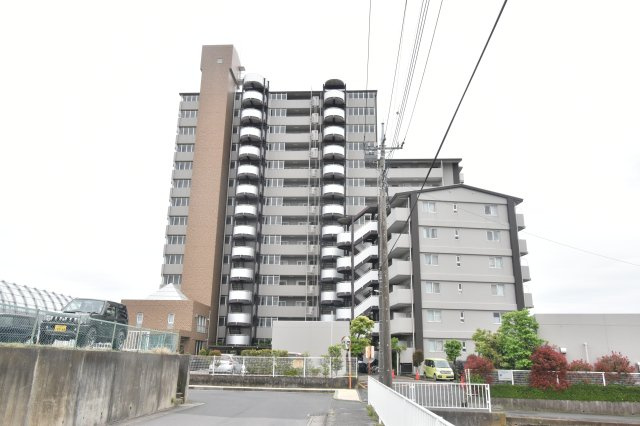 11階部分・南東・南西角住戸で陽当たり通風眺望良好！大切なペットと暮らせるお住まいです(細則有)！