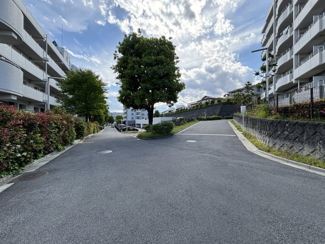 敷地内の道は広く余裕を持って設計されています。