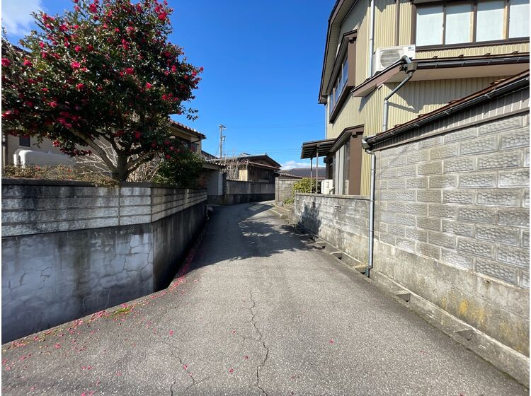 前面道路(西側)
