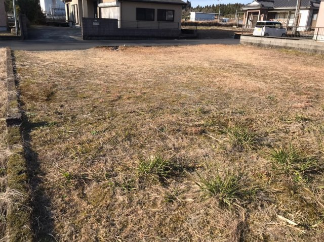 外観：346000037923