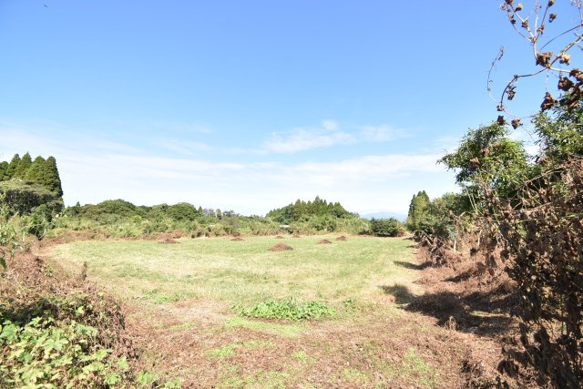 外観：346000037810