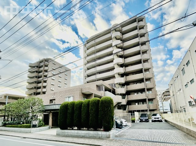 外観：313004650704