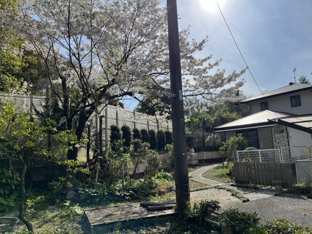 庭
