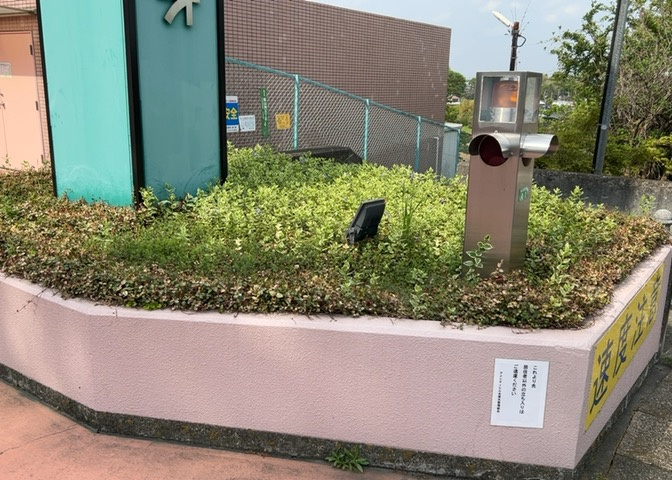 物件によっては、入居者が個人的に使用できる専用庭がついているものもあります。また、住宅の中にある土間の部分を庭と呼ぶこともあります。庭の用途は住む人によって変わり、それによってデザインもさまざまです。