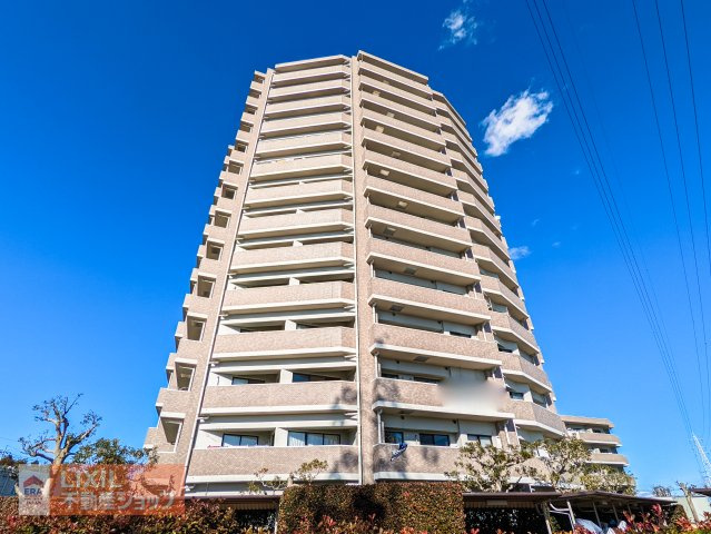 外観：309000078117