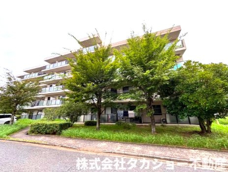外観：312001324923