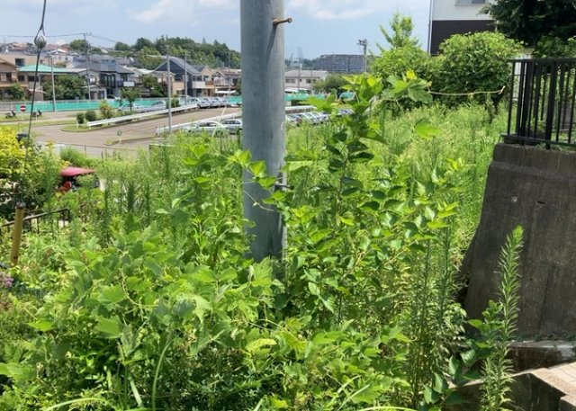 土地を買う際、住む地域の自治体や福祉の補助制度にも注目してみましょう。子供や老人の医療補助やゴミ出しのルールなど、自治体によってルールに大きな違いがあるため、暮らしやすい土地で判断するとよいでしょう。
