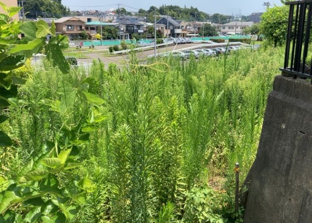 外観：313004330419